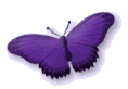 showletter-butterfly-1.gif
